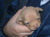 Picture 108_tiny